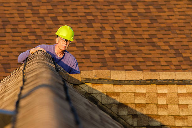 Best Roof Repair Services  in Calverton, MD